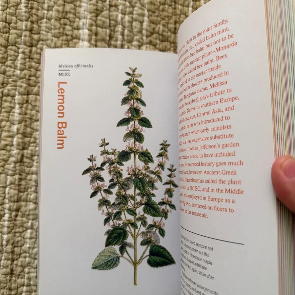 Herbal Handbook New York Botanical Garden Profiles Art Recipes